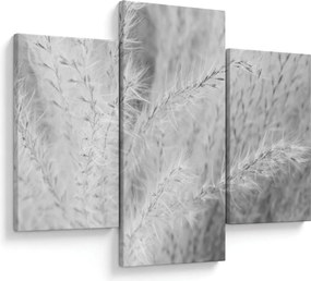 Kép - Pampafű N⁰1 (90x60 cm)