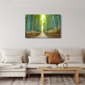 Kép - Bambusz erdő (90x60 cm)
