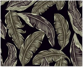 Poszterek 50x40 Trópusi levelek Levelek