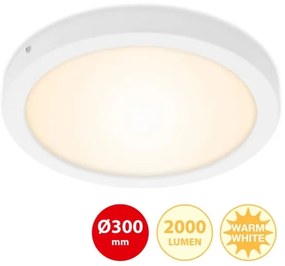 Briloner 7141-016 - LED Mennyezeti lámpa FIRE LED/21W/230V