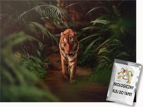 Fotótapéta Flizelina Trópusi Erdő Dzsungel Ösvény Tigris Macska 400x280 ragasztó