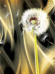 Pitypang fotótapéta Arany puhaság és modern harmónia 206x275 +ragasztó