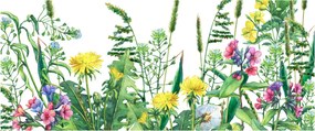 Kép - Festett réti virágok (120x50 cm)
