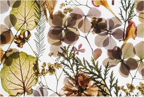 Fotótapéta Flizelin Szoba tapéta Természetes kompozíció 104x70 Ragasztó