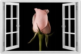 Poszter 90x60 Púderrózsaszín rózsa Virág