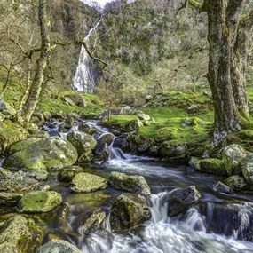 Poszter 70x70cm Aber 2 vízesés, Assaf Frank