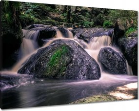 Vászonkép 100x70 Folyó víz a patakban