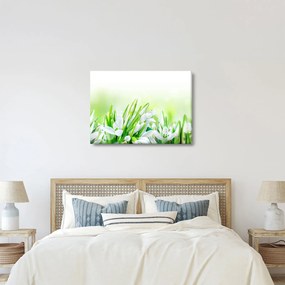 Kép - Hóvirág (70x50 cm)