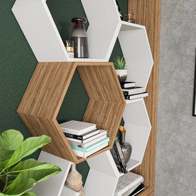 könyvespolc Artemis - Walnut, White