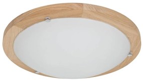 Spot-Light 4753474 - FRIDA mennyezeti lámpa 2xE27/40W/230V