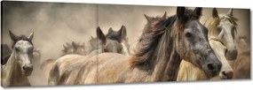 Vászonkép 60x20 Vadlovak Lovak Galopp