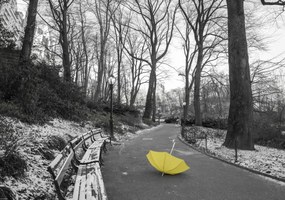 Poszter 66,5x46,5cm Sárga esernyő az ösvényen a Central Parkban, Assaf Frank