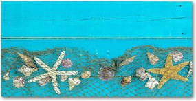 Fotó üvegkép Tengeri csillagok és kagylók 140x70