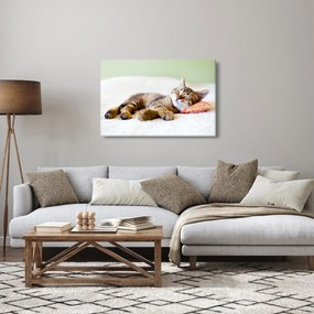 Kép - alvó cica (90x60 cm)