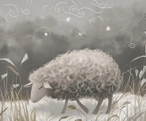 Poszter 60x50cm Buja bárány