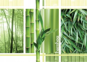 Flizelin fotótapéta Bambusz harmónia a természet otthonában 350x250 +ragasztó