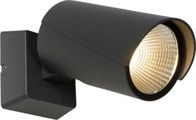 LUCIDE 27896-12-29 MANAL Modern Kültéri Fali Lámpa LED IP65
