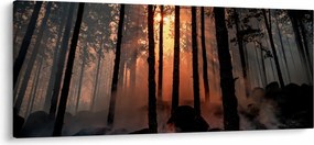 Sötét erdő képe (120x50 cm)