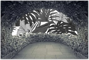 Poszter 60x40 Fekete-fehér monstera