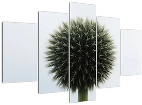Egy viráglabda képe (150x105 cm)