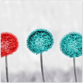 Poszterek 30x30 Piros pitypang