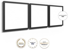Kép szett 3 db-os 30x30 cm Pampas – Styler