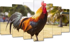 Festmények 140x80 Kakas