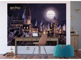 Gyerek fotó tapéta Harry Potter Roxfort Hold 252 x182 cm, 4 részből áll