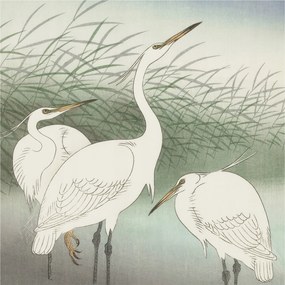 Flizelina fotótapéta Nappaliba és Hálószobába Fűnyírók 250x250