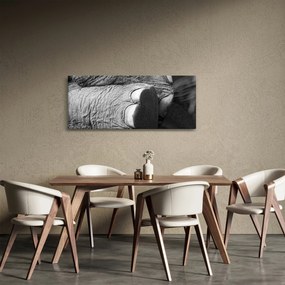 Kép - Elefánt láb (120x50 cm)