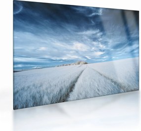 Mezőkép (üvegen) (70x50 cm)