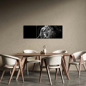 Kép - Oroszlán, fekete-fehér (órával) (90x30 cm)