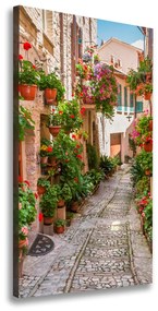 Vászonfotó Olasz utcákon ocv-108008671