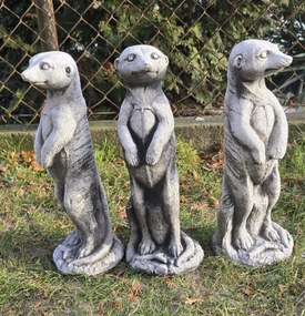 3 db-os szett Beton dekoráció Szurikáta figura Otthon Kert Ajándék.Szurikat 36