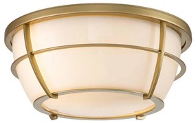 Quoizel QZ-CHANCE-F-PNBR- Fürdőszobai mennyezeti lámpa CHANCE 2xE27/60W/230V IP44