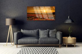 Akrilkép Szakterület Pipacsok Sunset Meadow 125x50 cm