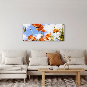 Pipacsok képe (120x50 cm)