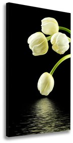 Vászonkép nyomtatás Fehér tulipán ocv-53318527