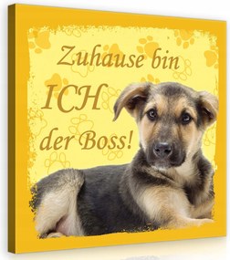 Vászonkép 80x80 Kiskutya kutya házi kedvenc sárga aranyos vidám mancsok lenyomat