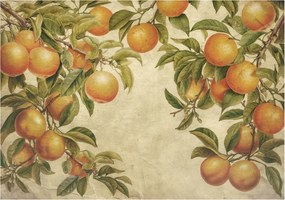 Fali fotótapéta Étkezőbe Gyümölcsös ágak 208x146 Ragasztó