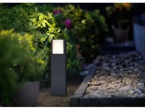 Philips - LED Kültéri lámpa ARBOUR LED/3,8W/230V 40 cm IP44