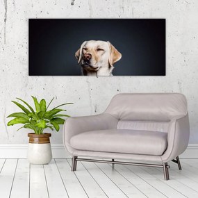 Labrador képe (120x50 cm)