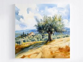 Poszter Tájkép Olaszország Toszkána Fa Olíva Villa 40x40