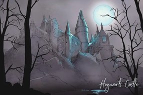 Művészi plakát Harry Potter - Nocturnal Hogwarts Castlle