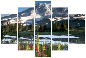 Kép - Mount Rainier (150x105 cm)