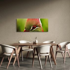 Színes madár képe (120x50 cm)