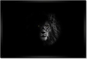 Poszterek keretben 60x40 Oroszlán az árnyékban Király