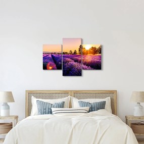 A levendula mező képe, Provence (90x60 cm)