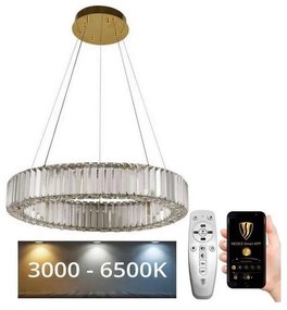 NEDES LED Dimmelhető csillár zsinóron LED/40W/230V 3000-6500K króm/arany + távirányító ND3529