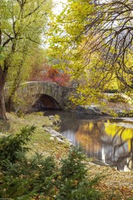 Poszter 20x30cm Őszi híd Gapstowban, Assaf Frank